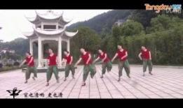 广场舞视频大全,视频大全精彩回顾