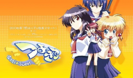 动漫新番,奇幻冒险之旅，青春热血的青春篇章